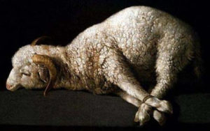 Passover-Lamb